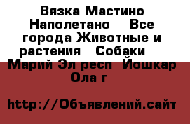 Вязка Мастино Наполетано  - Все города Животные и растения » Собаки   . Марий Эл респ.,Йошкар-Ола г.